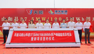 来利国际w66股份新闻