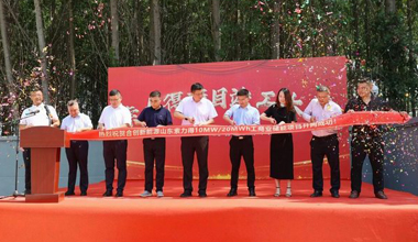 来利国际w66股份新闻