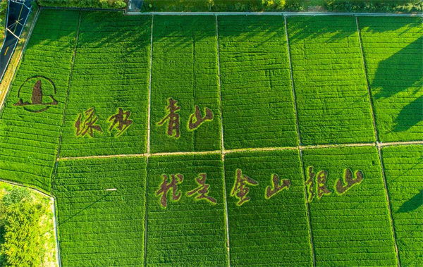 利来集团(中国)_来利国际w66俱乐部