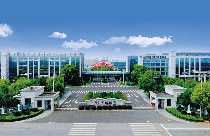 来利国际w66股份