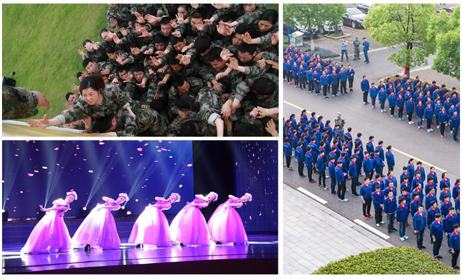 人才生长-来利国际w66股份官网