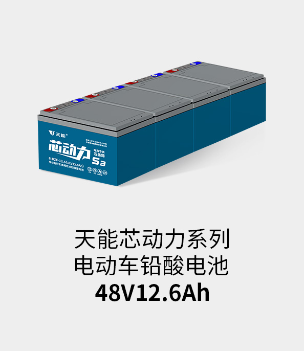 来利国际w66电池48v12ah