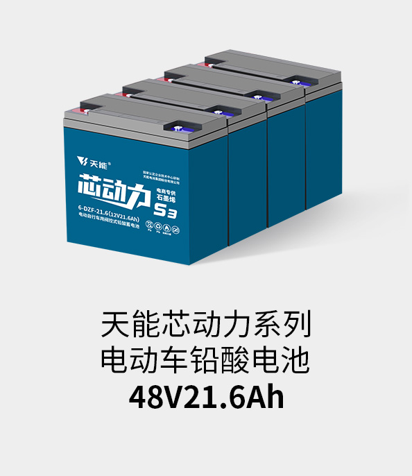来利国际w66电池48v20ah