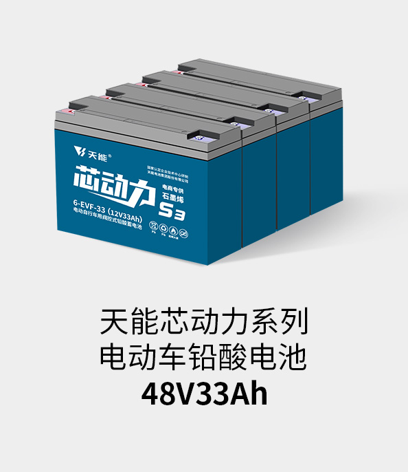来利国际w66电池48v32ah