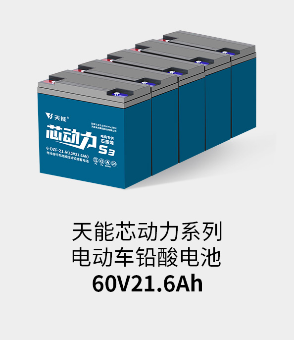 来利国际w66电池60v20ah