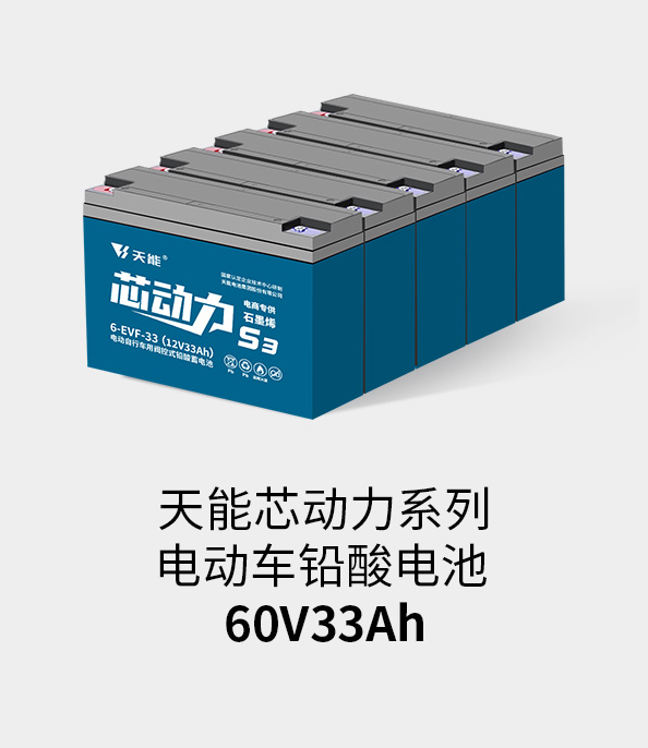来利国际w66电池60v33ah
