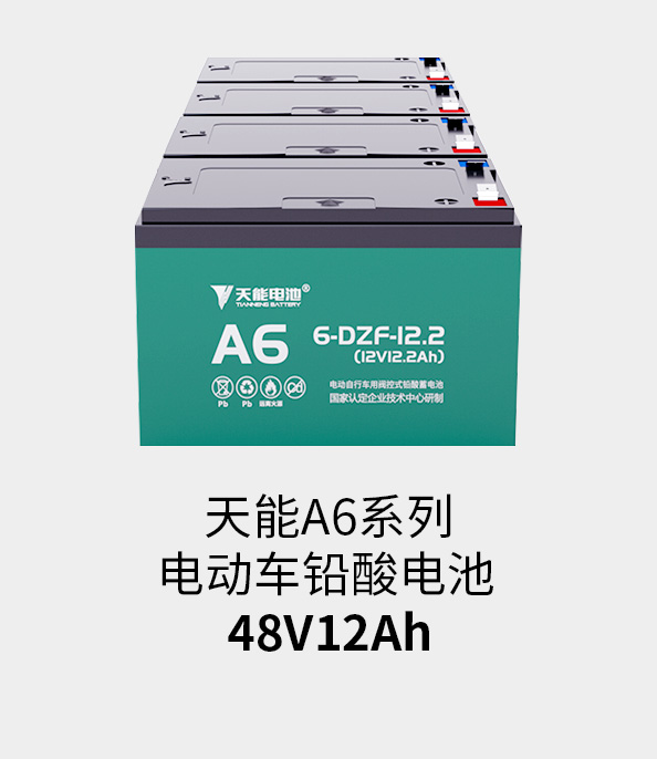 来利国际w66电池48v12ah