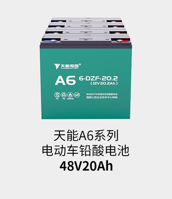 来利国际w66电池48v20ah