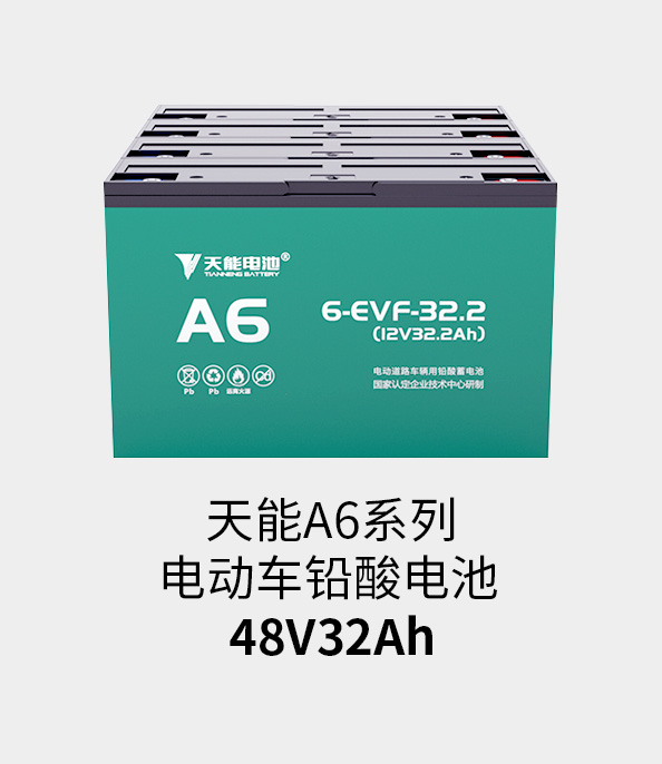 来利国际w66电池48v32ah