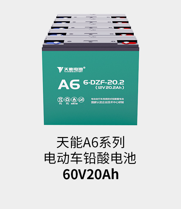 来利国际w66电池60v20ah