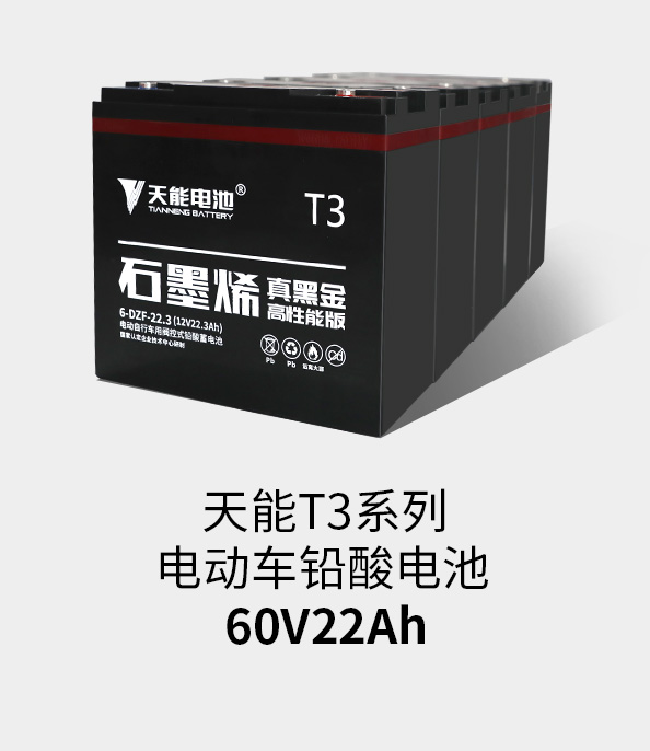 来利国际w66T3系列60v22ah