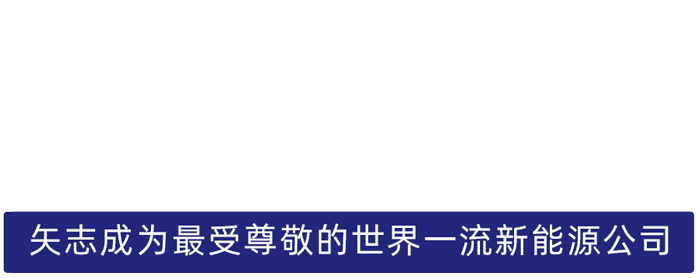 来利国际w66股份